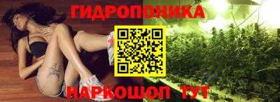 мяу мяу мука Нальчик