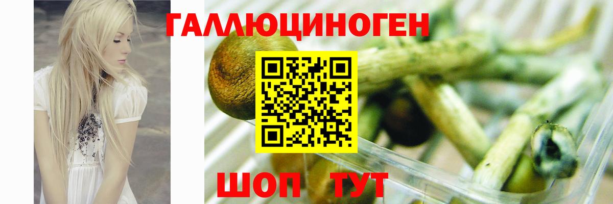 Псилоцибиновые грибы прущие грибы Благодарный